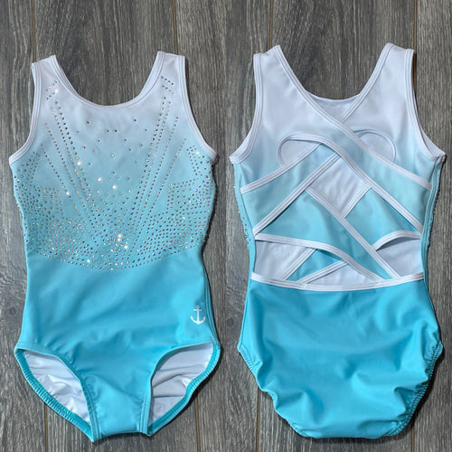 Aqua Daze Leotard